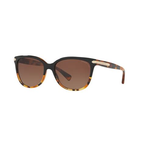 coach varsity cat eye sunglasses|coach women's hc8132 sunglasses.